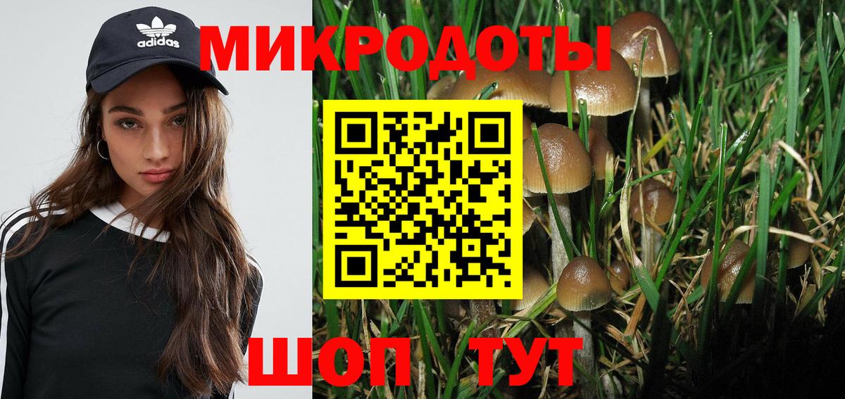 Псилоцибиновые грибы мухоморы Хабаровск
