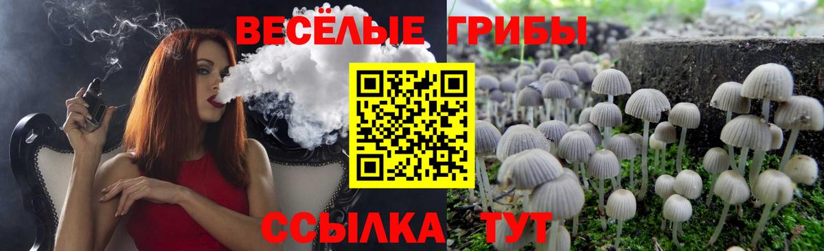 Хабаровск  Галлюциногенные грибы MAGIC MUSHROOMS  Вход с VPN 